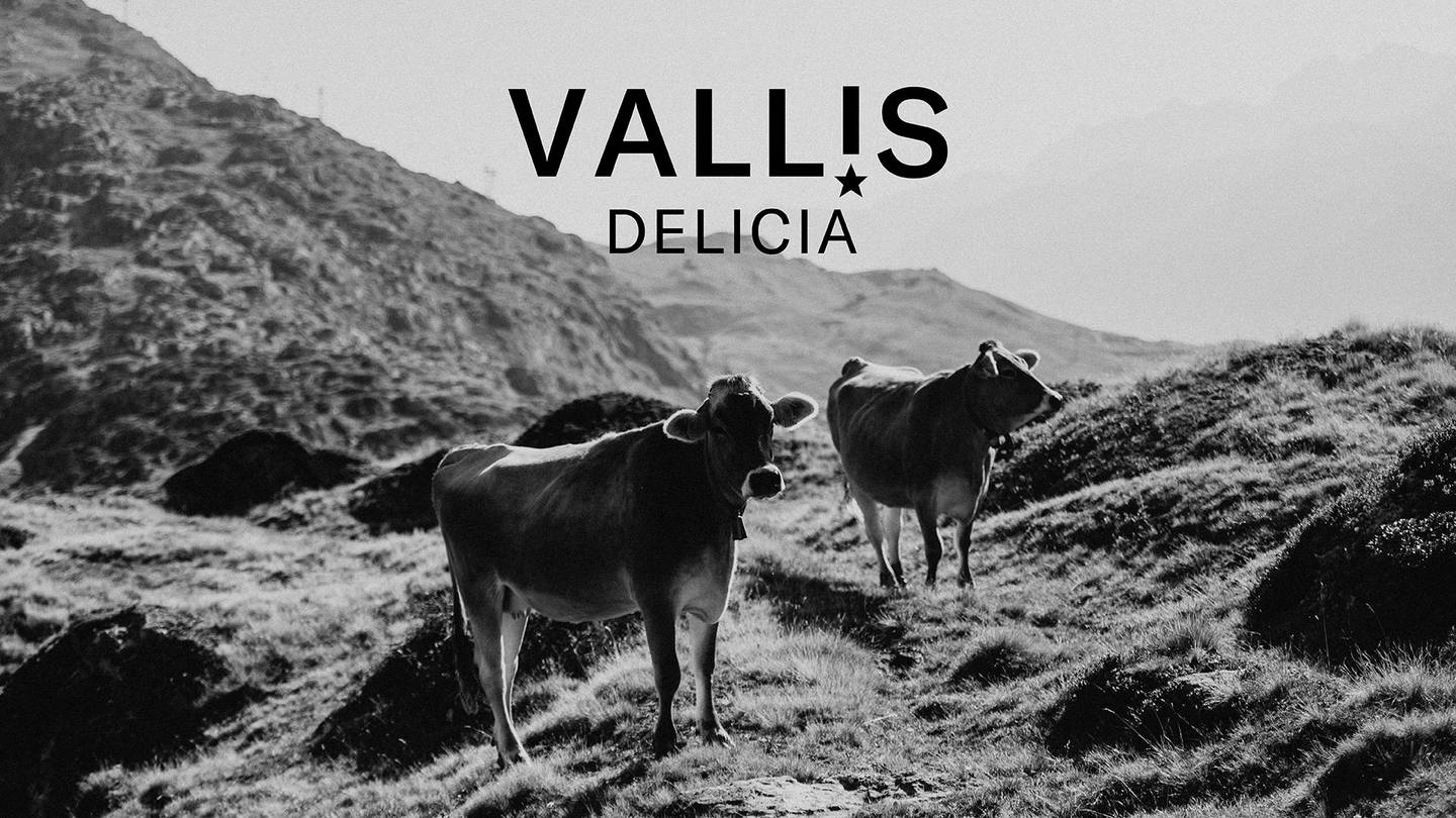 vallis_delicia_walker_start.jpg