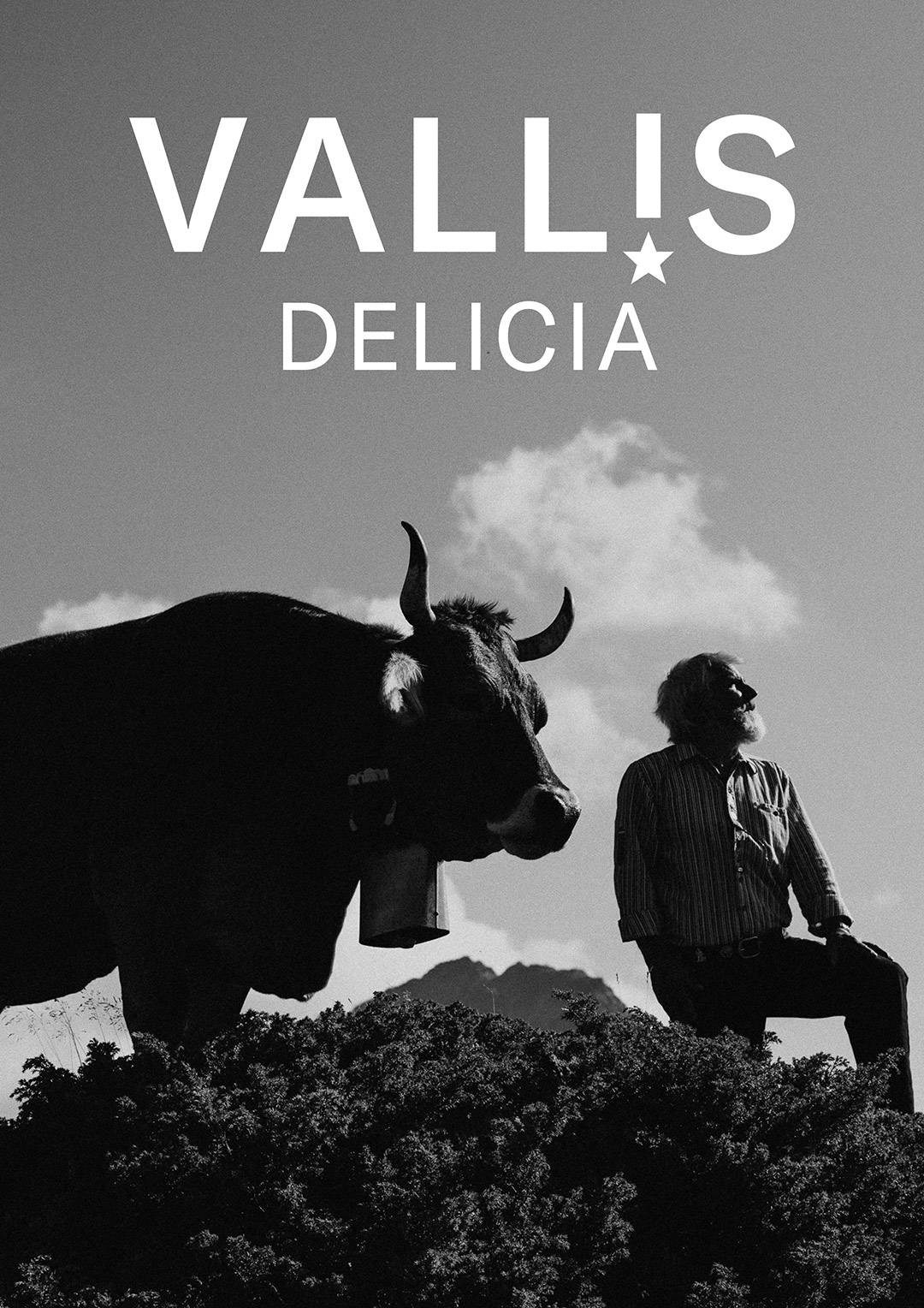vallis-delicia-ci-cd2.jpg